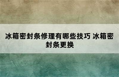 冰箱密封条修理有哪些技巧 冰箱密封条更换